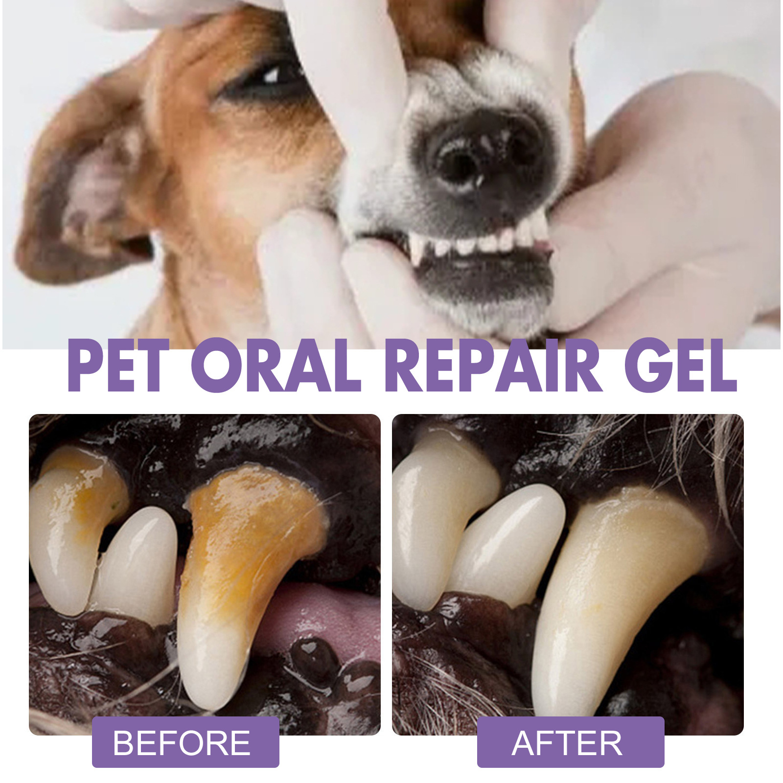 Gel per la riparazione orale d - Teeth Whitening Gels Used By Dentists recensione e prezzo